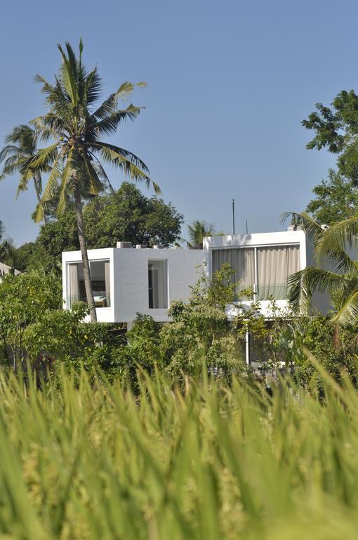 Villa Ashoka Canggu Екстер'єр фото