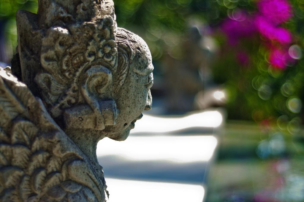 Villa Ashoka Canggu Екстер'єр фото